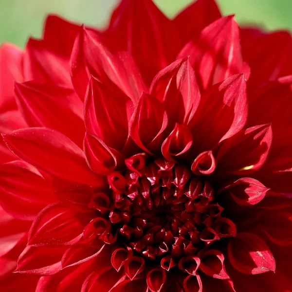 壹号娱乐21点游戏